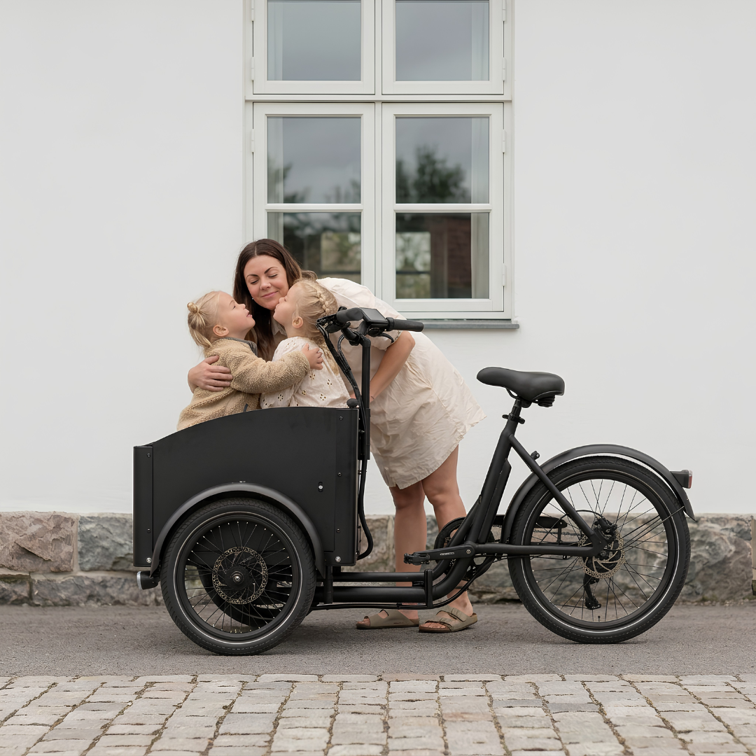 Vélo électrique Chanty Cargo City