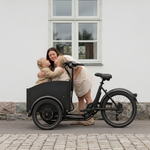 Vélo électrique Chanty Cargo City