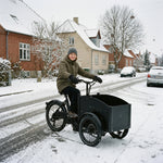 Chanty Cargo EL Sähköinen