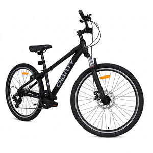 Chanty VTT 26