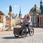 Chanty Cargo City Bike Electric