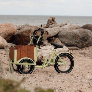Chanty Cargo Mini - Vert  