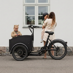 Vélo électrique Chanty Cargo City