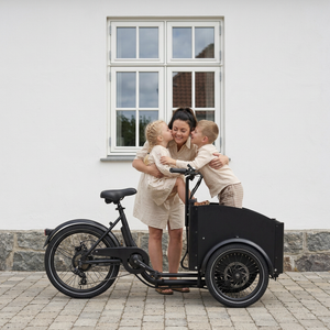 Vélo électrique Chanty Cargo City