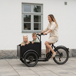Vélo électrique Chanty Cargo City