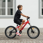 Chanty VTT 20