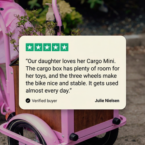 Chanty Cargo Mini – Rose