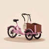 Chanty Cargo Teen - rose  